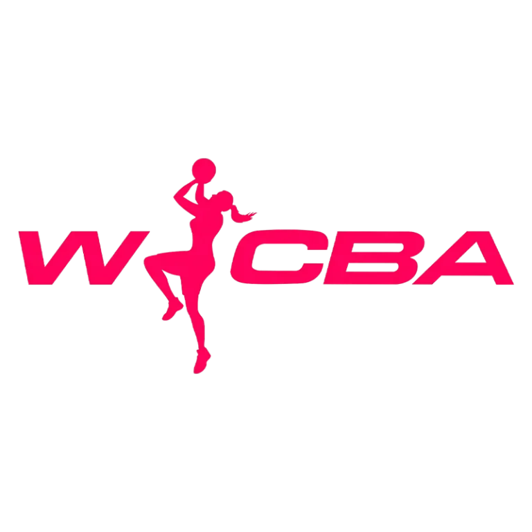 《WCBA 石家庄英励vs山西竹叶青酒20250208》全集高清完整版在线观看与剧情解析