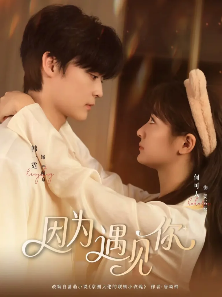 《因为遇见你短剧》全集高清完整版在线观看与剧情解析