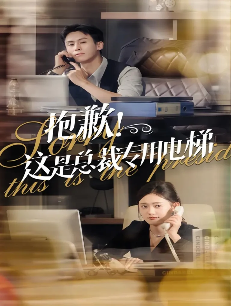 《抱歉这是总裁专用电梯》全集高清完整版在线观看与剧情解析