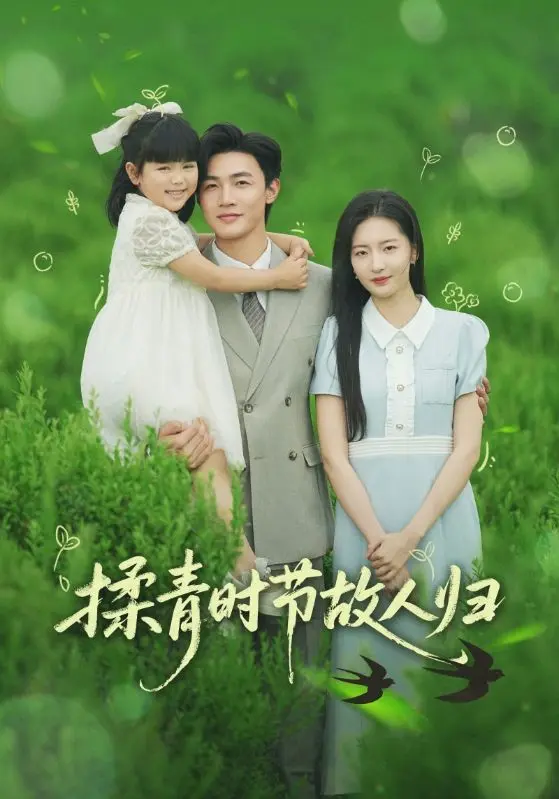 《揉青时节故人归》全集高清完整版在线观看与剧情解析