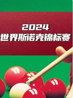 《斯诺克英锦赛 马克·塞尔比4-6杰克·利索夫斯基20241125》全集高清完整版在线观看与剧情解析