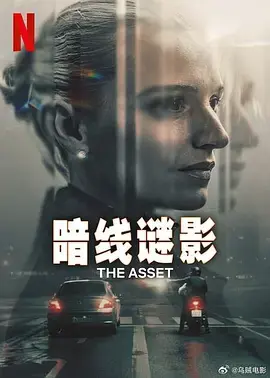 《暗线谜影》全集高清完整版在线观看与剧情解析