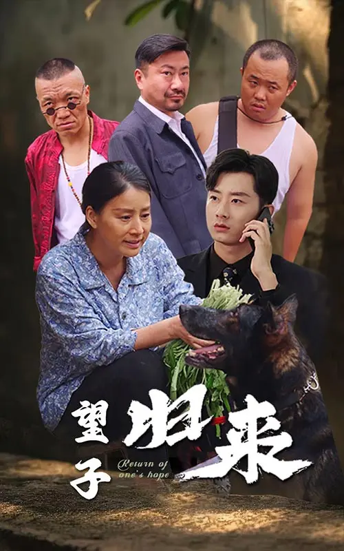 《望子归来》全集高清完整版在线观看与剧情解析