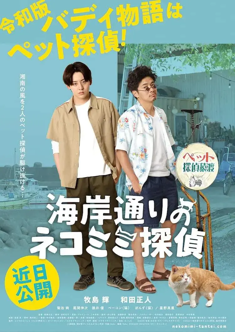 《海岸大街上的猫咪侦探》全集高清完整版在线观看与剧情解析