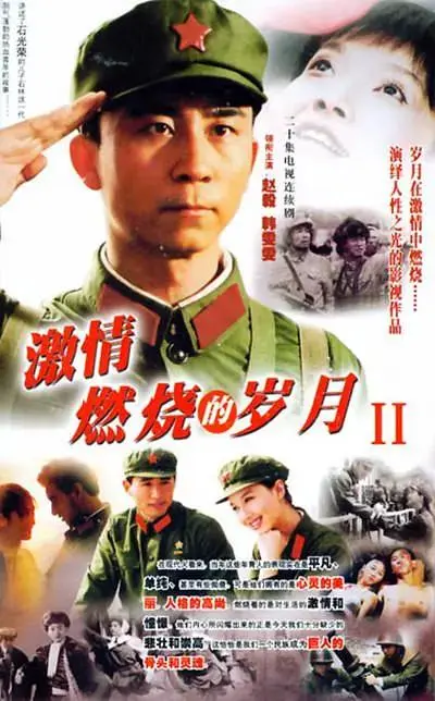 《激情燃烧的岁月2》全集高清完整版在线观看与剧情解析
