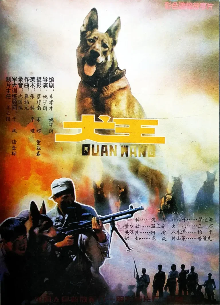 《犬王1993》全集高清完整版在线观看与剧情解析