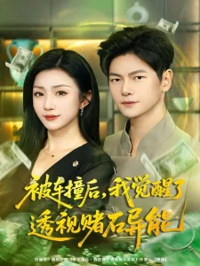 被车撞后,我觉醒了透视赌石异能