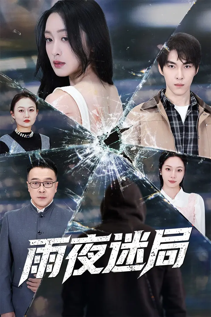 《雨夜迷局＆沉默的真相之雨夜原罪》全集高清完整版在线观看与剧情解析