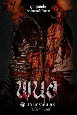 《黑煞女》全集高清完整版在线观看与剧情解析